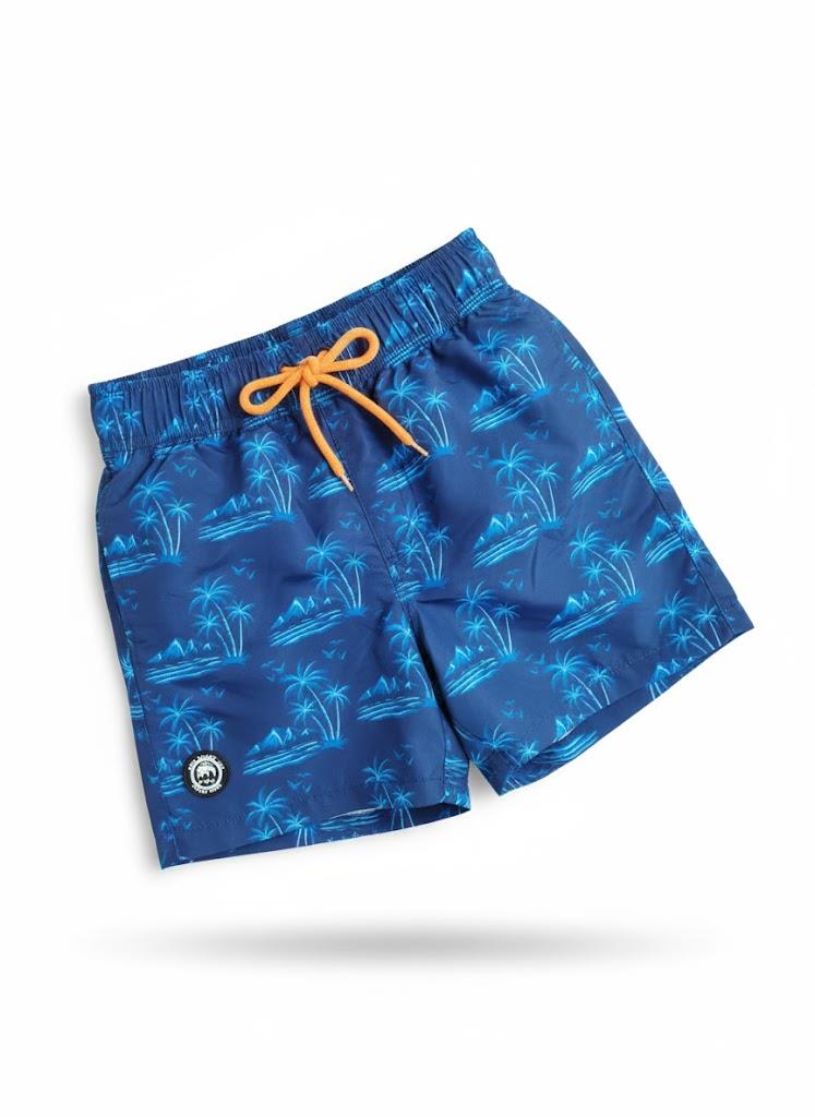 Venice Beach Boys Swim Shorts Blue