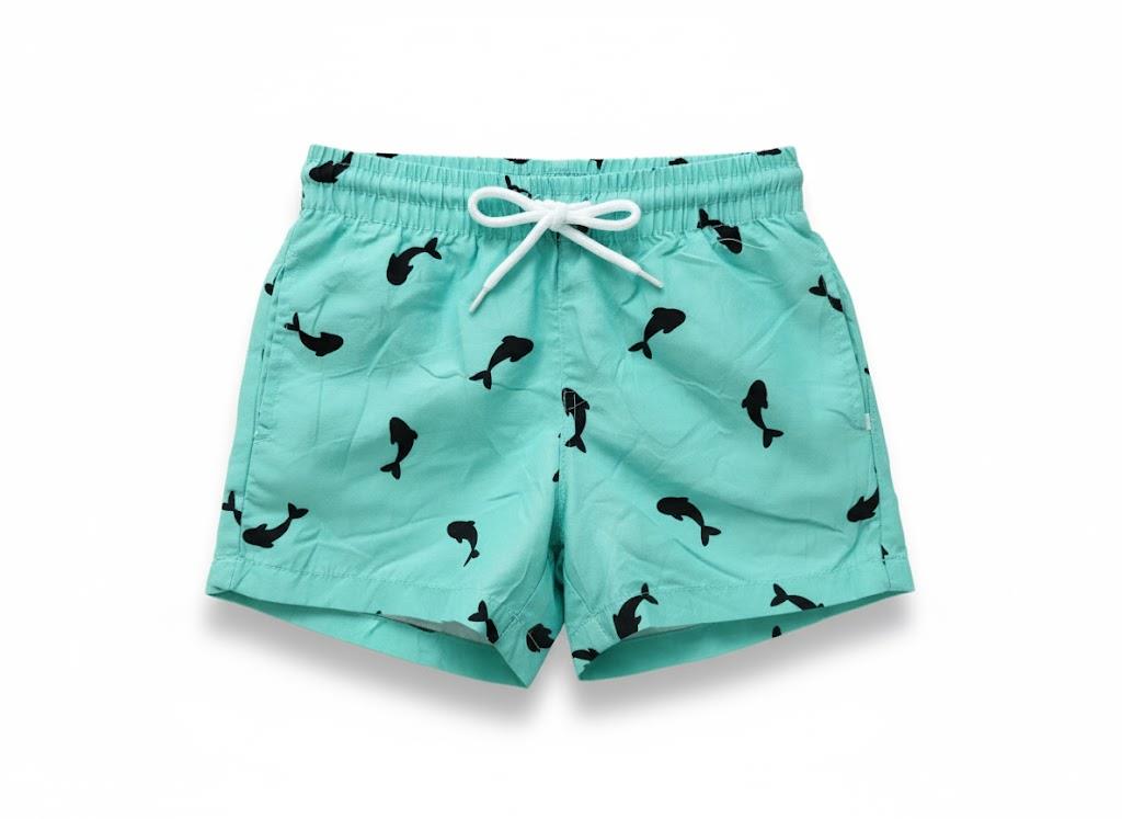 Venice Beach Boys Swim Shorts Turquoise