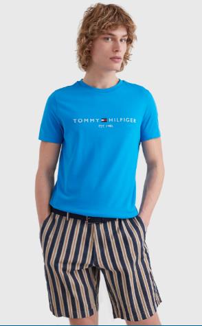 Tommy Hilfiger Mens Logo Short Sleeve Tee Blue