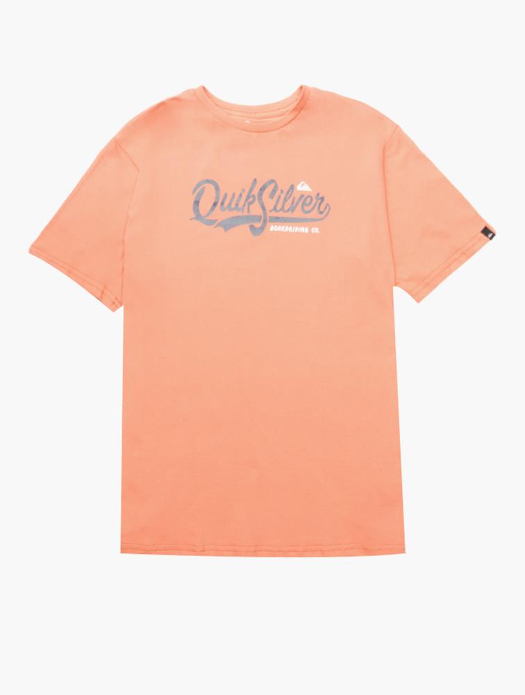 Quiksilver Boys Pool Short Sleeve Tee Cider