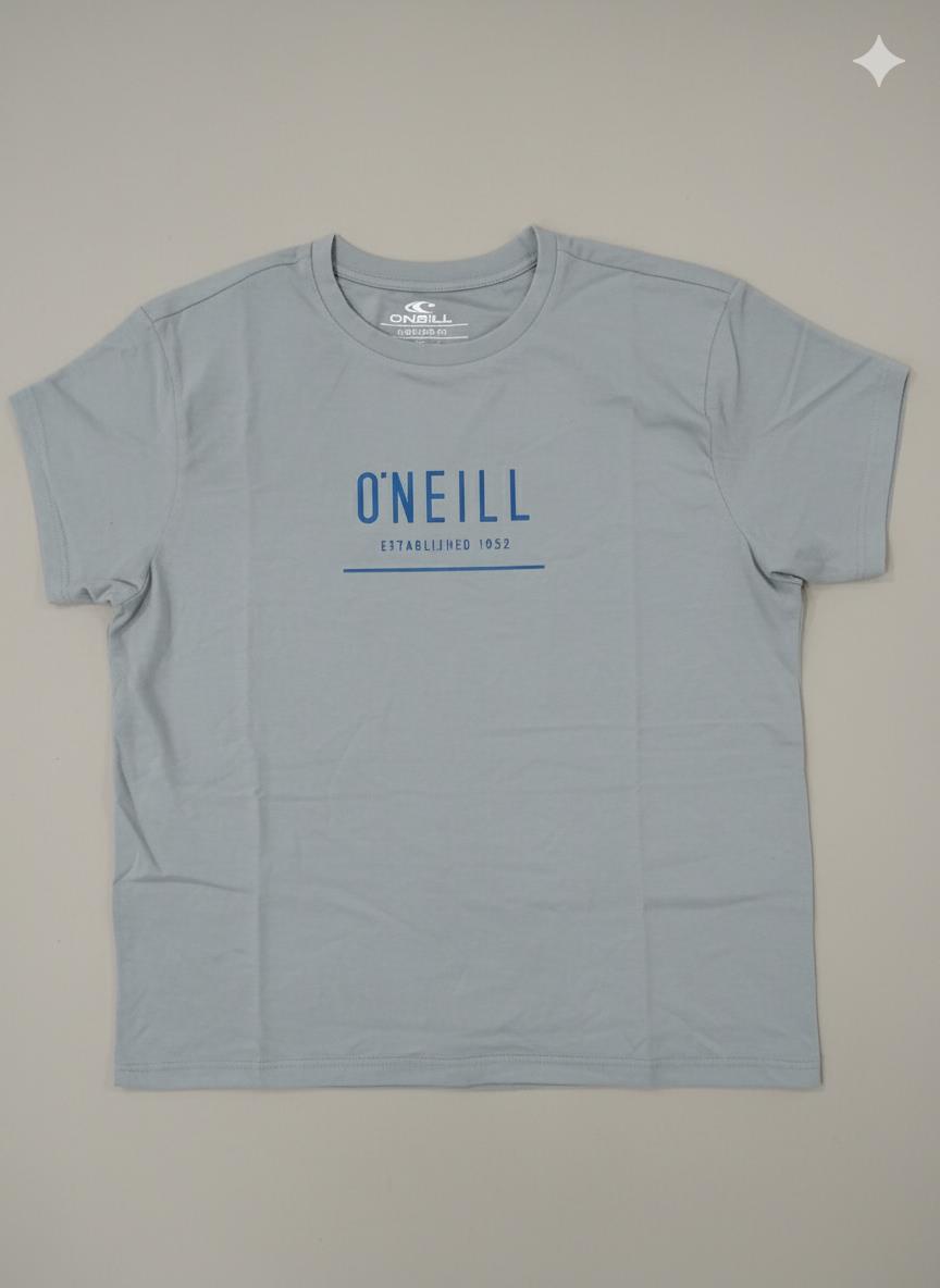 Oneill Mens Struck Short Sleeve Tee Tradewinds Grey