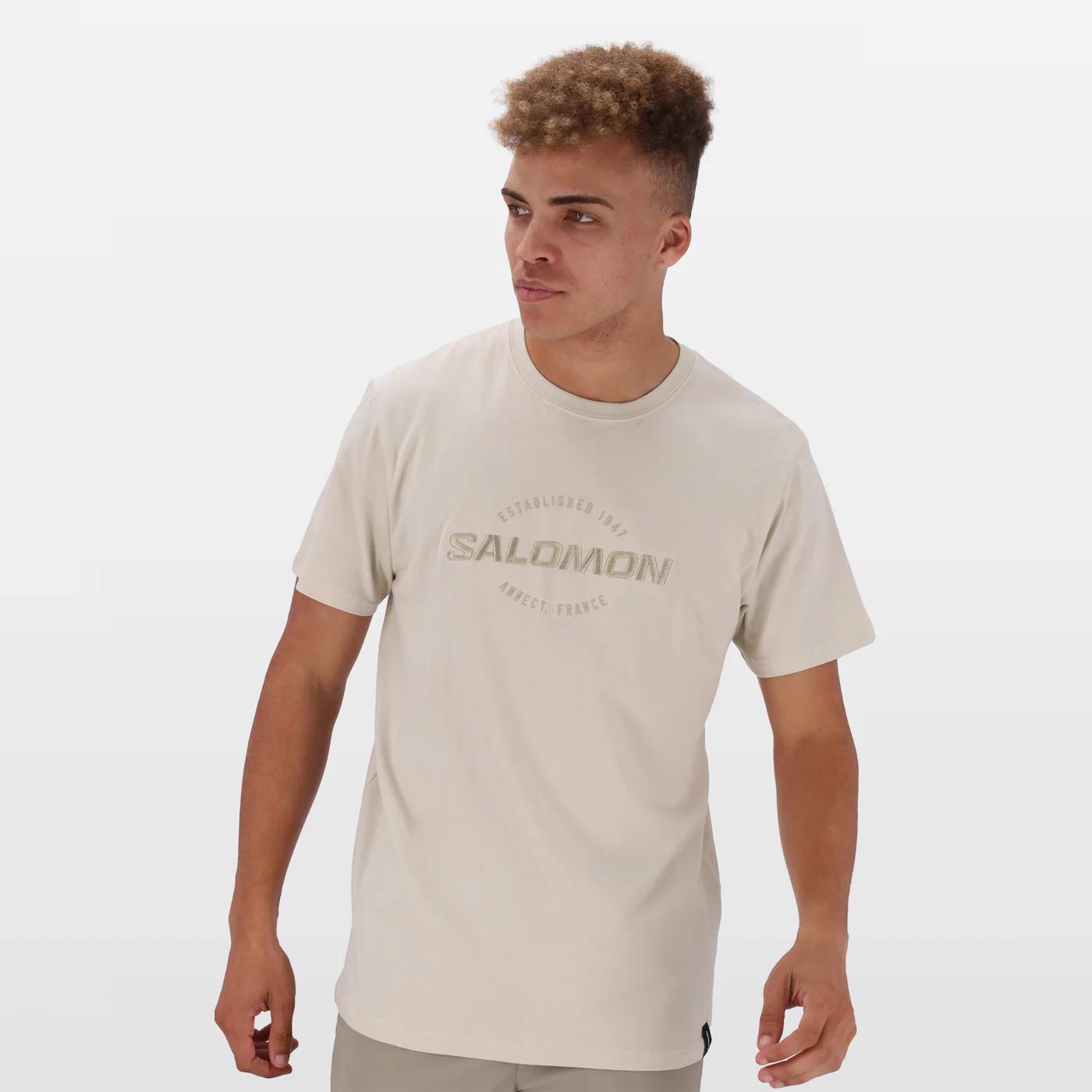 Salomon Mens Vision Ii Short Sleeve Tee Pumice Stone
